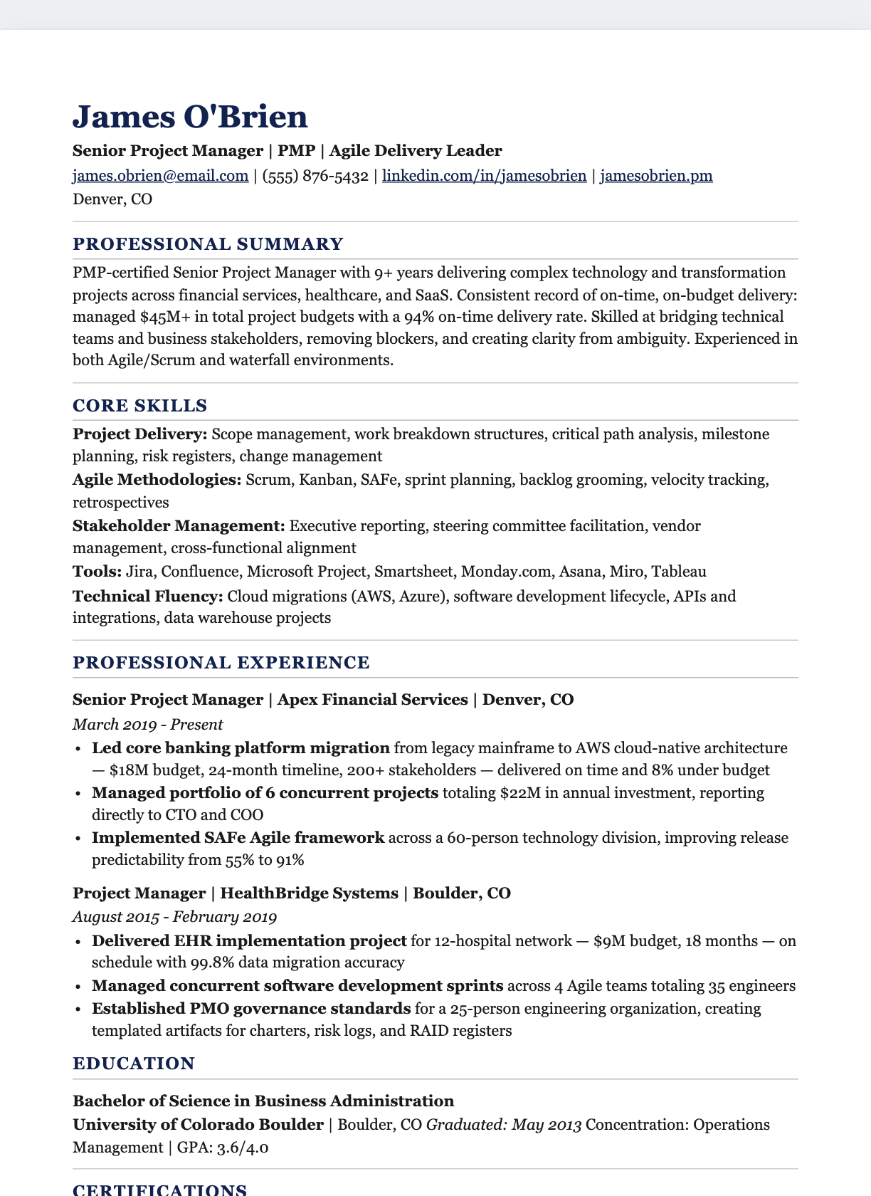 Consultant Professional resume template preview